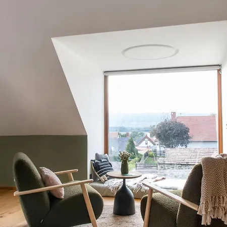 Pipiter & * 시글리게트